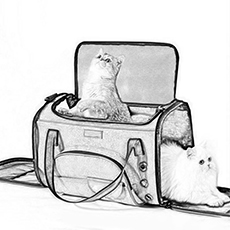 Pets Collection